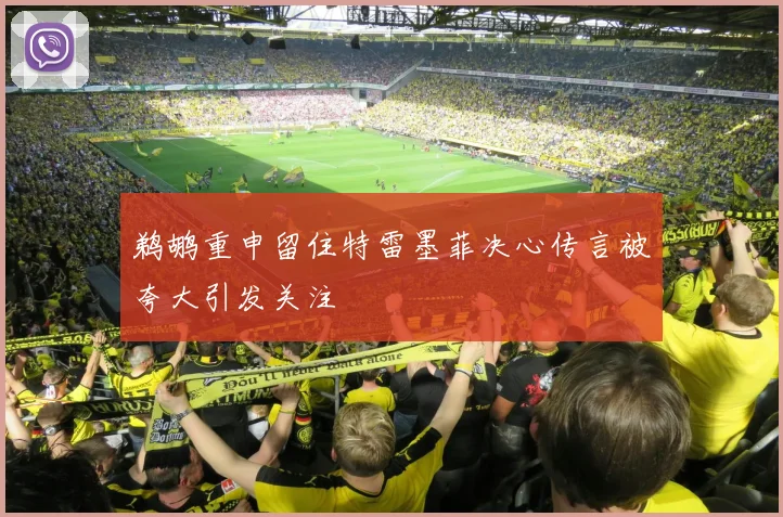 鹈鹕重申留住特雷墨菲决心传言被夸大引发关注