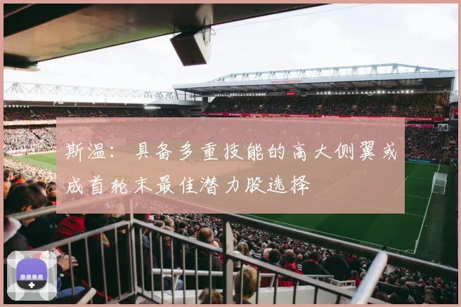 斯温：具备多重技能的高大侧翼或成首轮末最佳潜力股选择