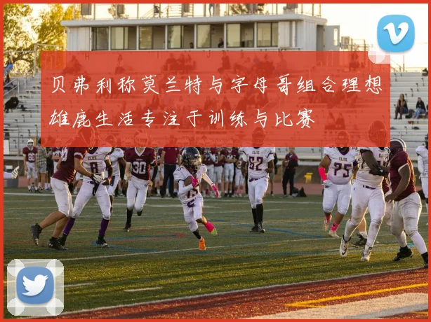 贝弗利称莫兰特与字母哥组合理想雄鹿生活专注于训练与比赛
