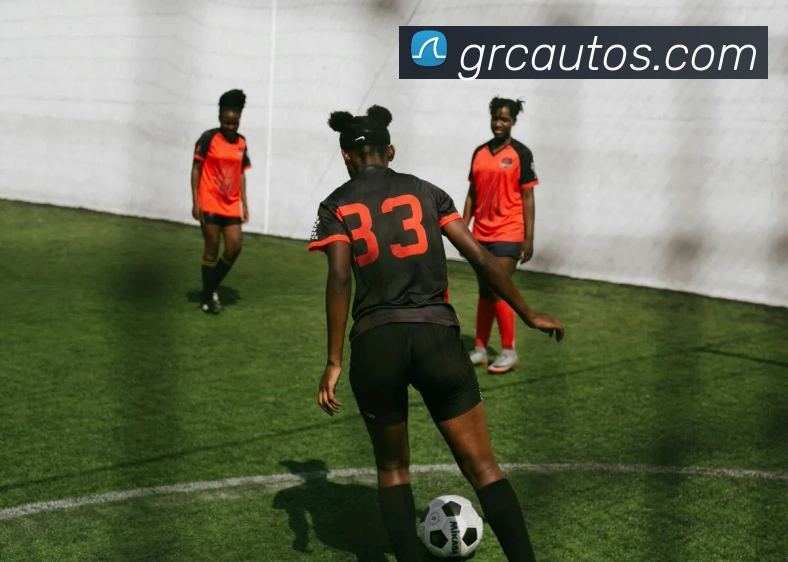 平台展示图